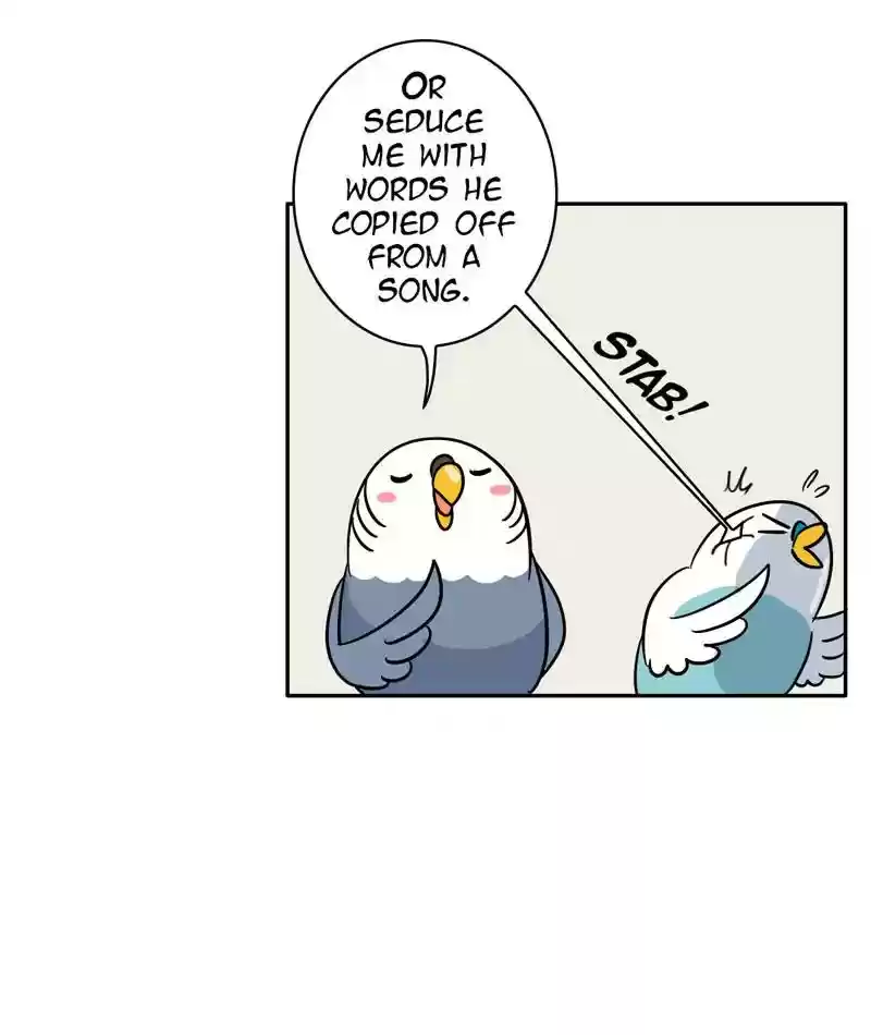 A Budgie's Life Chapter 282: Ep.281:
