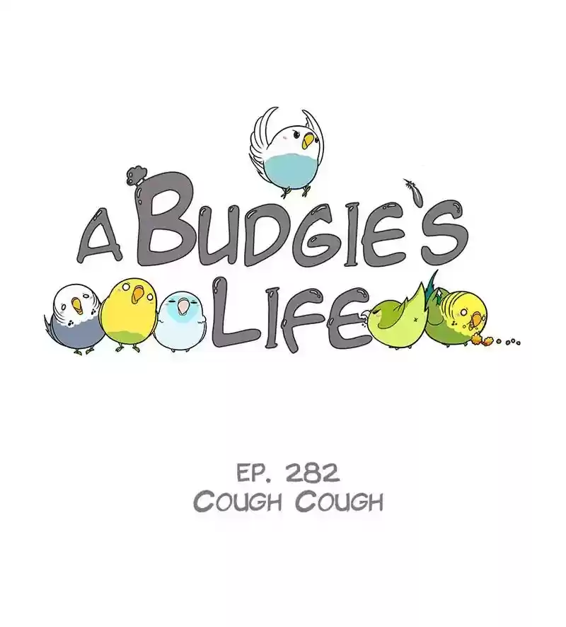 A Budgie's Life Chapter 283: Ep.282: