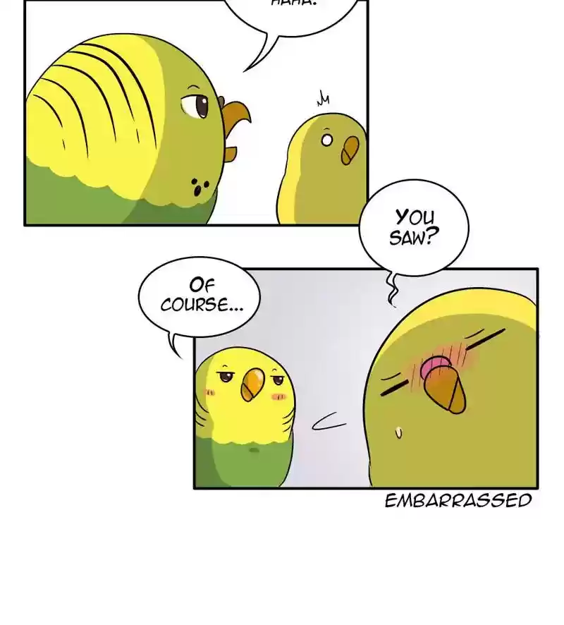 A Budgie's Life Chapter 283: Ep.282: