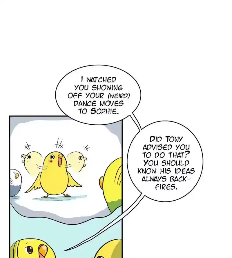 A Budgie's Life Chapter 283: Ep.282: