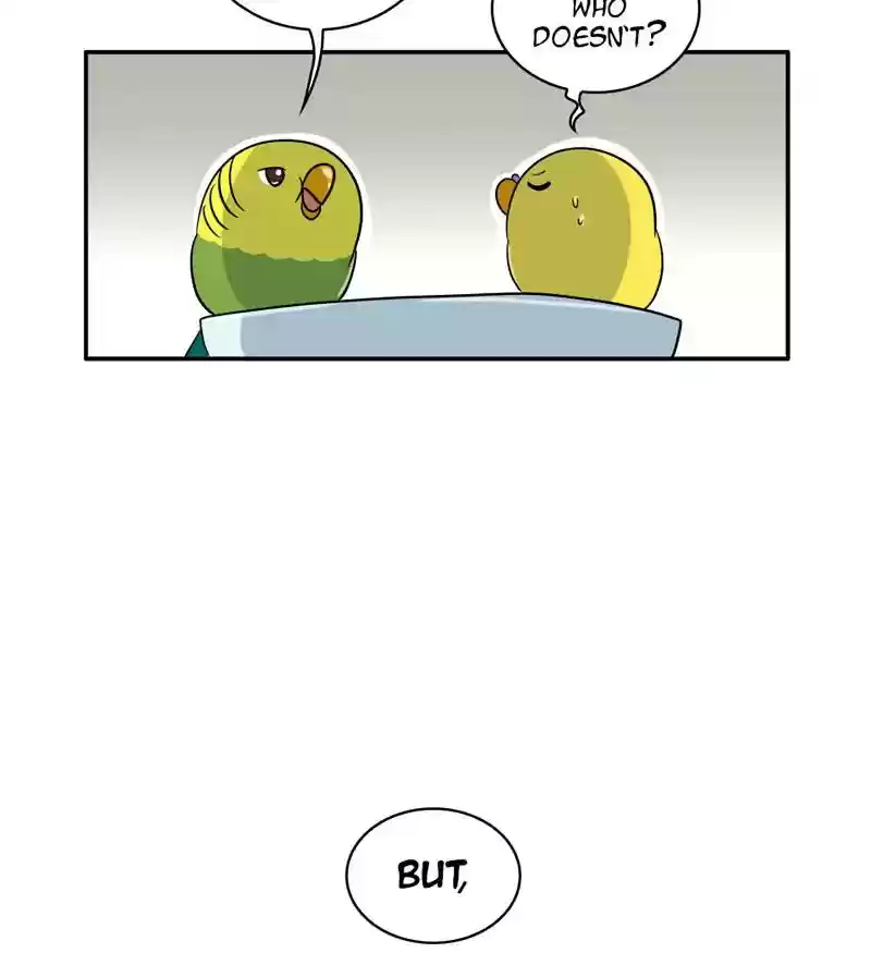 A Budgie's Life Chapter 283: Ep.282: