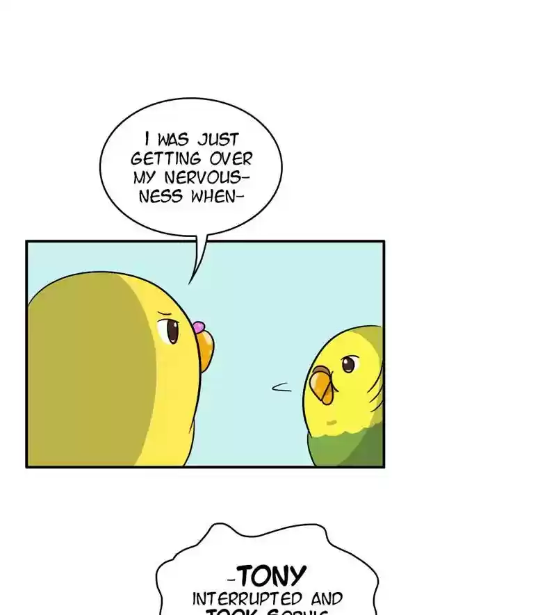 A Budgie's Life Chapter 283: Ep.282: