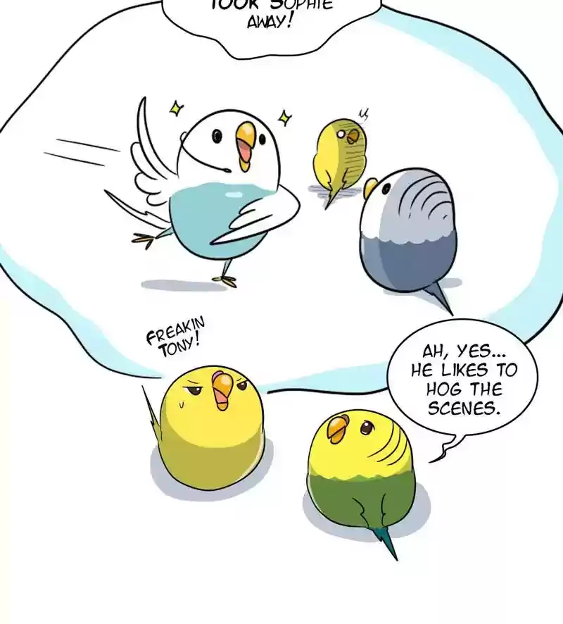A Budgie's Life Chapter 283: Ep.282: