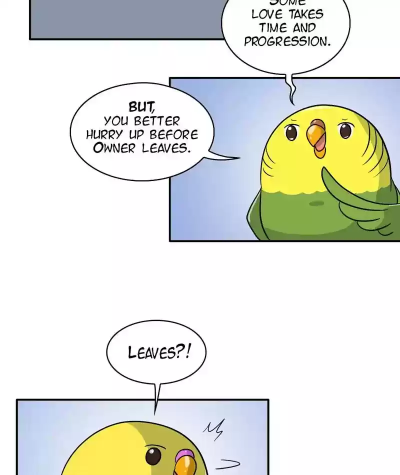 A Budgie's Life Chapter 283: Ep.282: