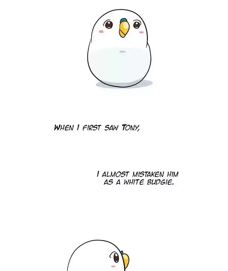 A Budgie's Life Chapter 284: Ep.283: