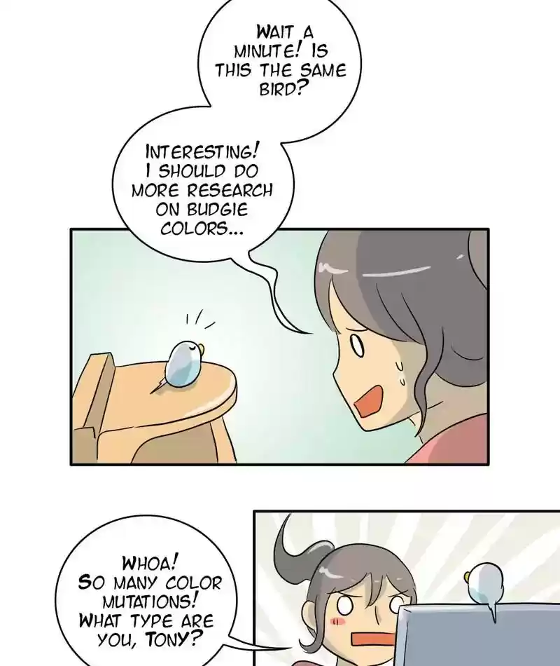 A Budgie's Life Chapter 284: Ep.283: