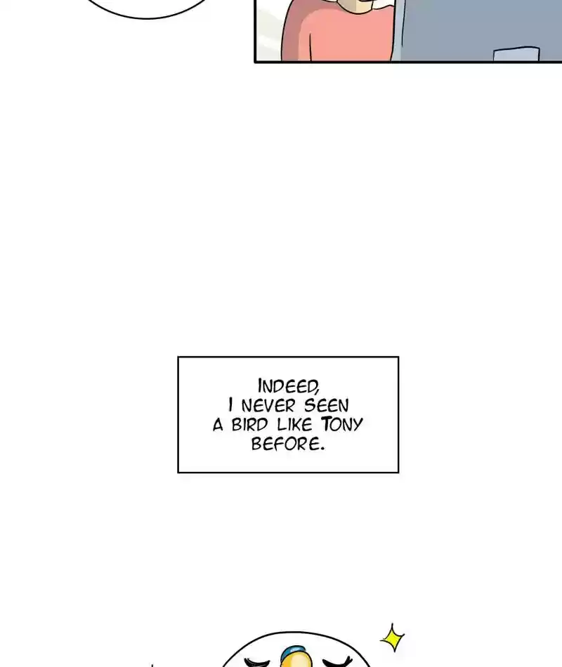 A Budgie's Life Chapter 284: Ep.283: