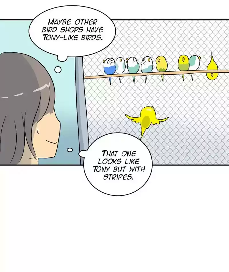 A Budgie's Life Chapter 284: Ep.283: