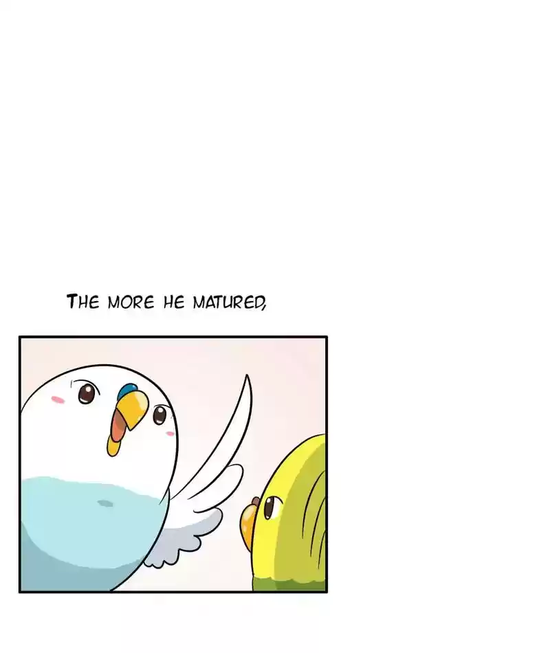A Budgie's Life Chapter 284: Ep.283: