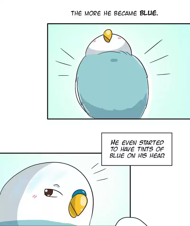 A Budgie's Life Chapter 284: Ep.283: