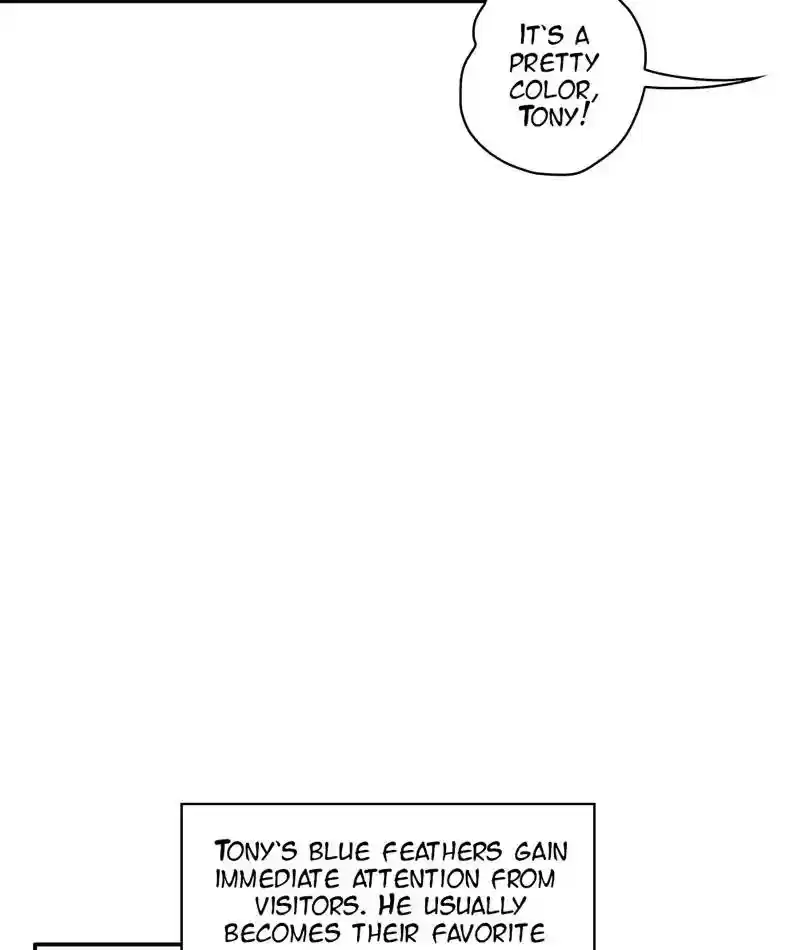 A Budgie's Life Chapter 284: Ep.283: