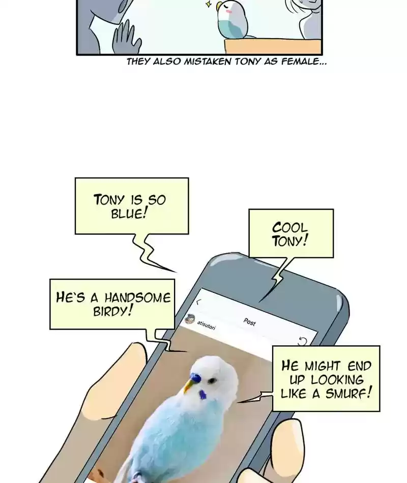 A Budgie's Life Chapter 284: Ep.283: