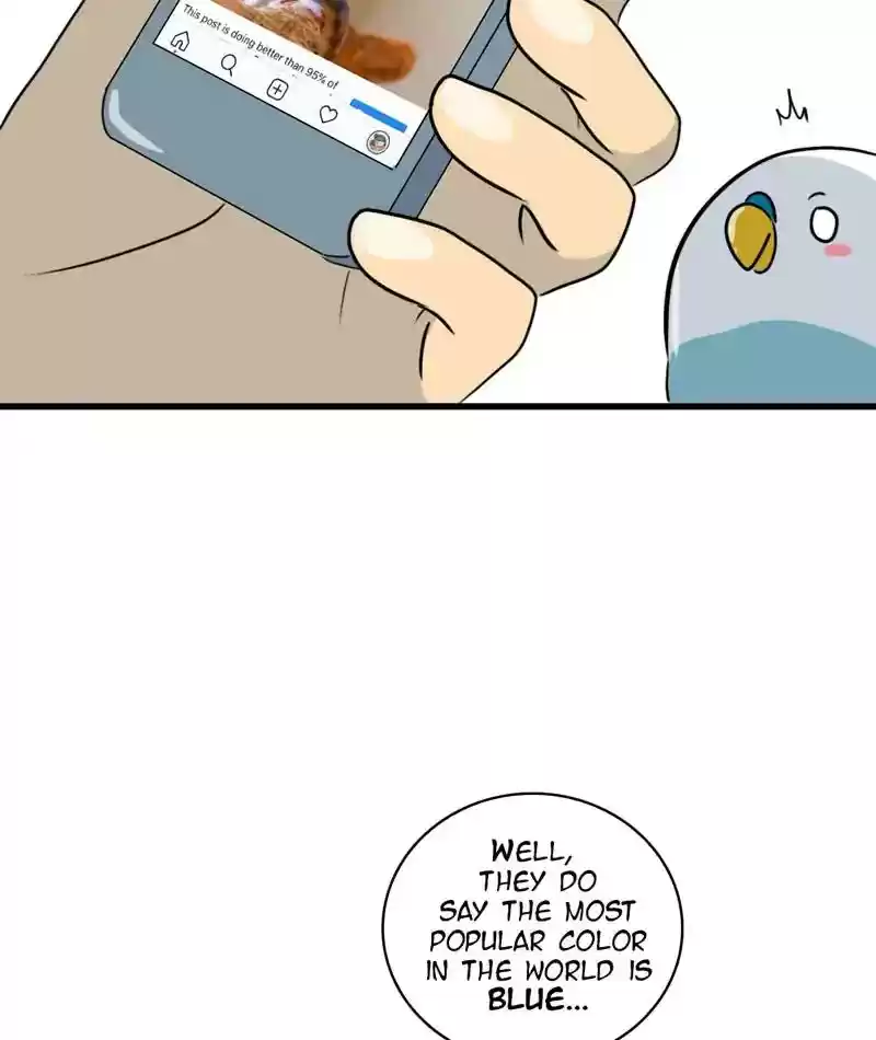 A Budgie's Life Chapter 284: Ep.283: