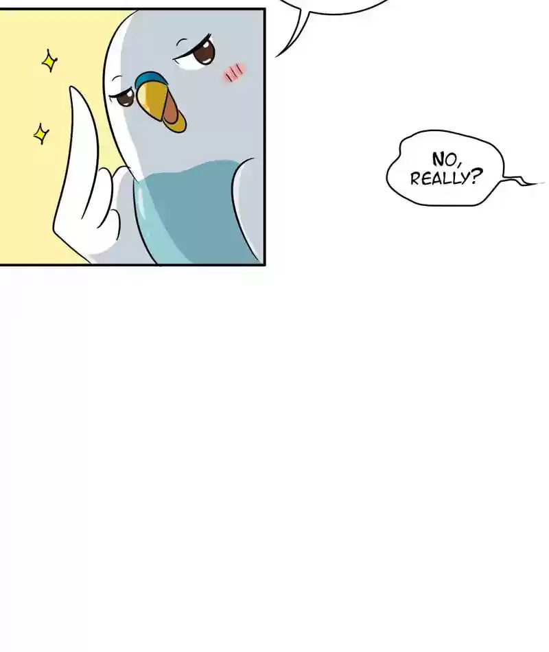 A Budgie's Life Chapter 284: Ep.283:
