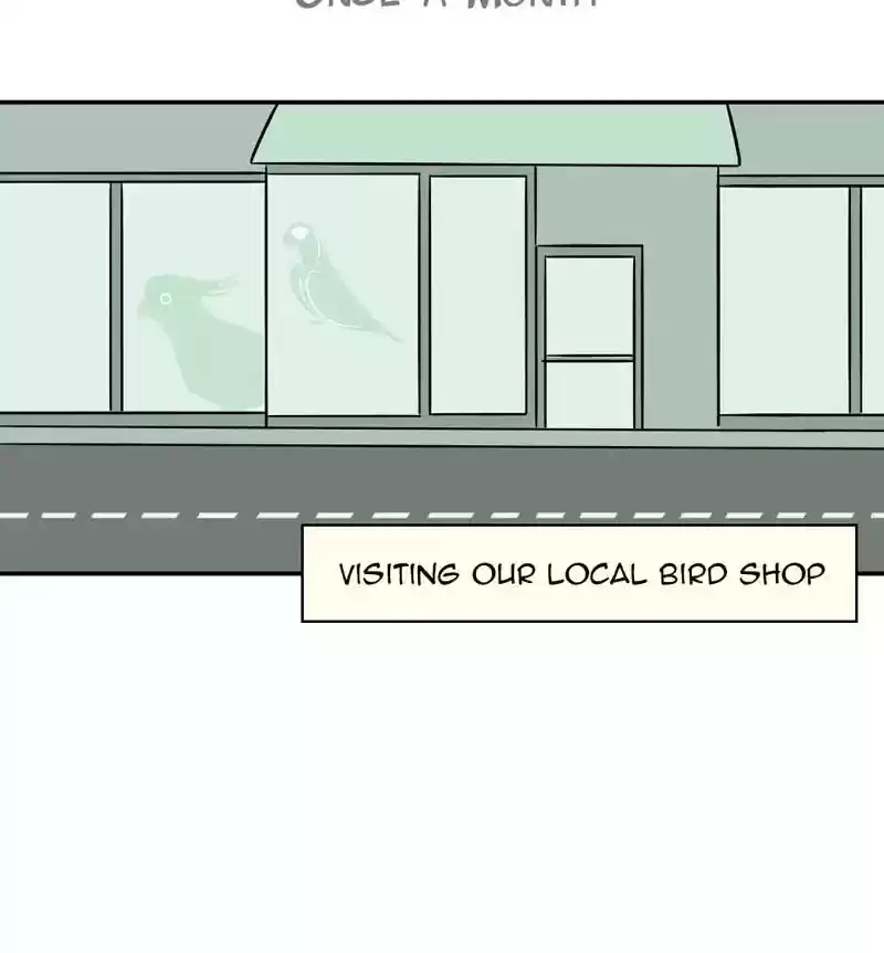 A Budgie's Life Chapter 285: Ep.284: