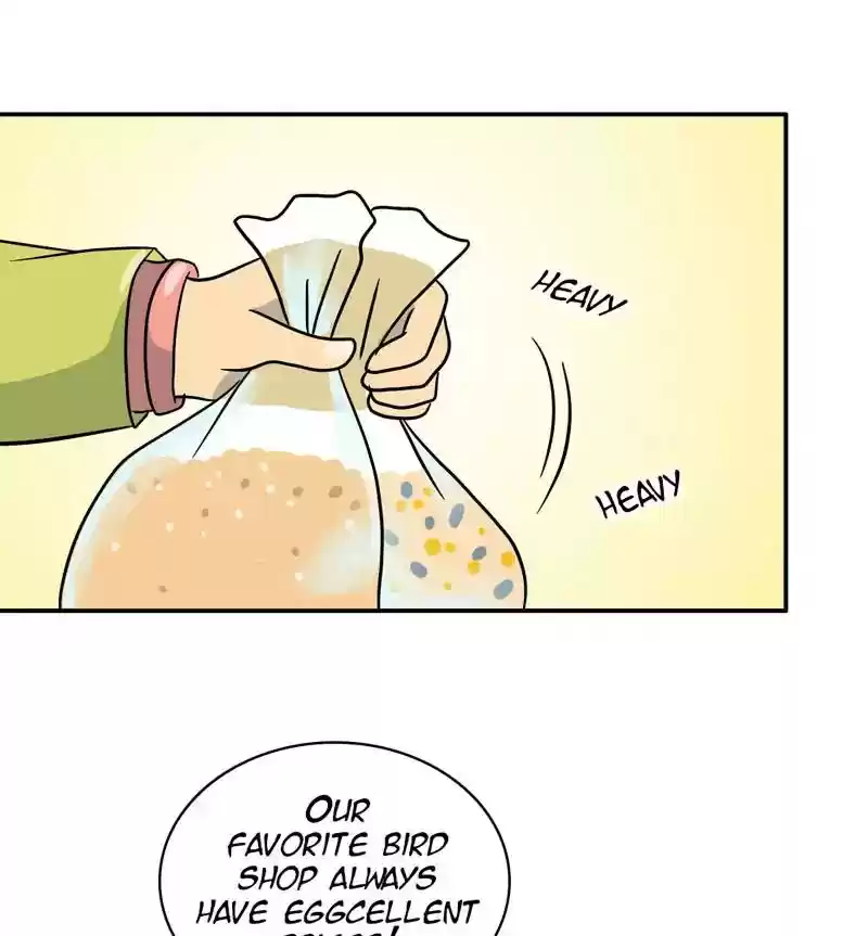 A Budgie's Life Chapter 285: Ep.284: