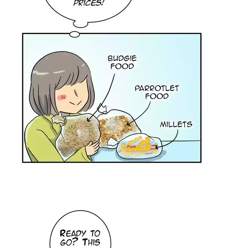 A Budgie's Life Chapter 285: Ep.284: