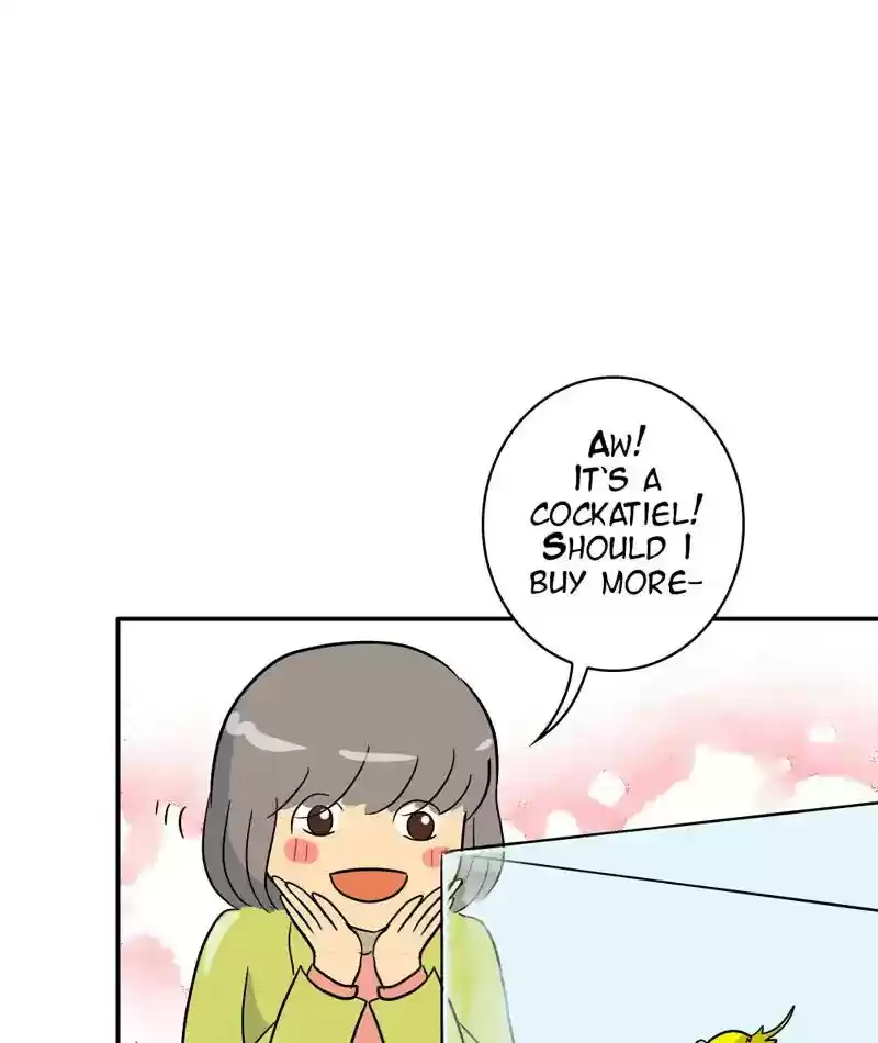 A Budgie's Life Chapter 285: Ep.284: