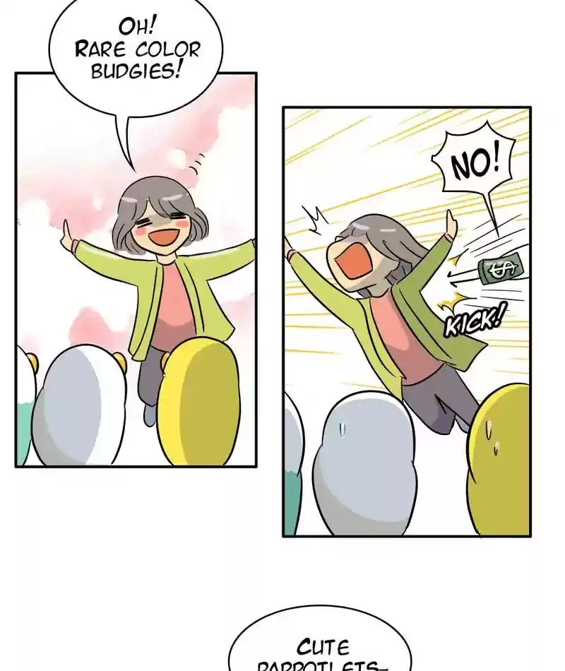 A Budgie's Life Chapter 285: Ep.284: