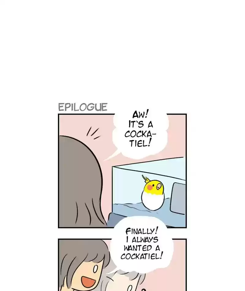 A Budgie's Life Chapter 285: Ep.284: