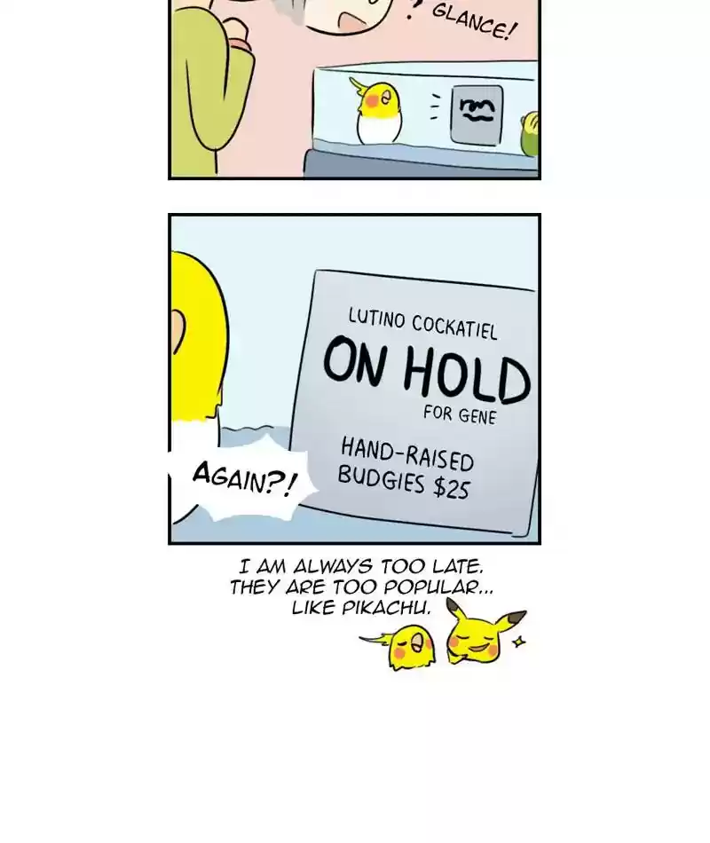 A Budgie's Life Chapter 285: Ep.284:
