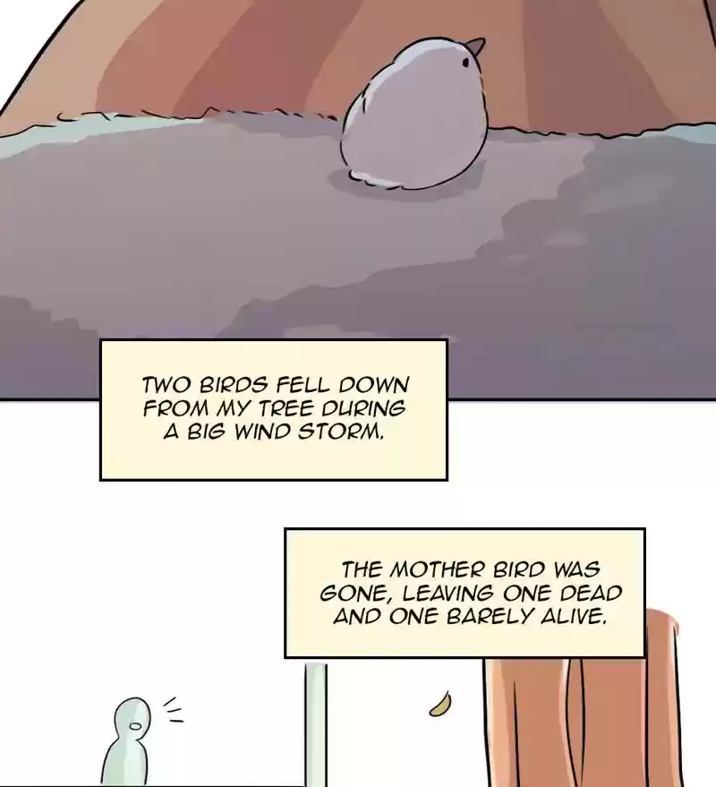 A Budgie's Life Chapter 286: Ep.285: