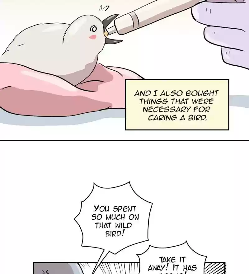 A Budgie's Life Chapter 286: Ep.285: