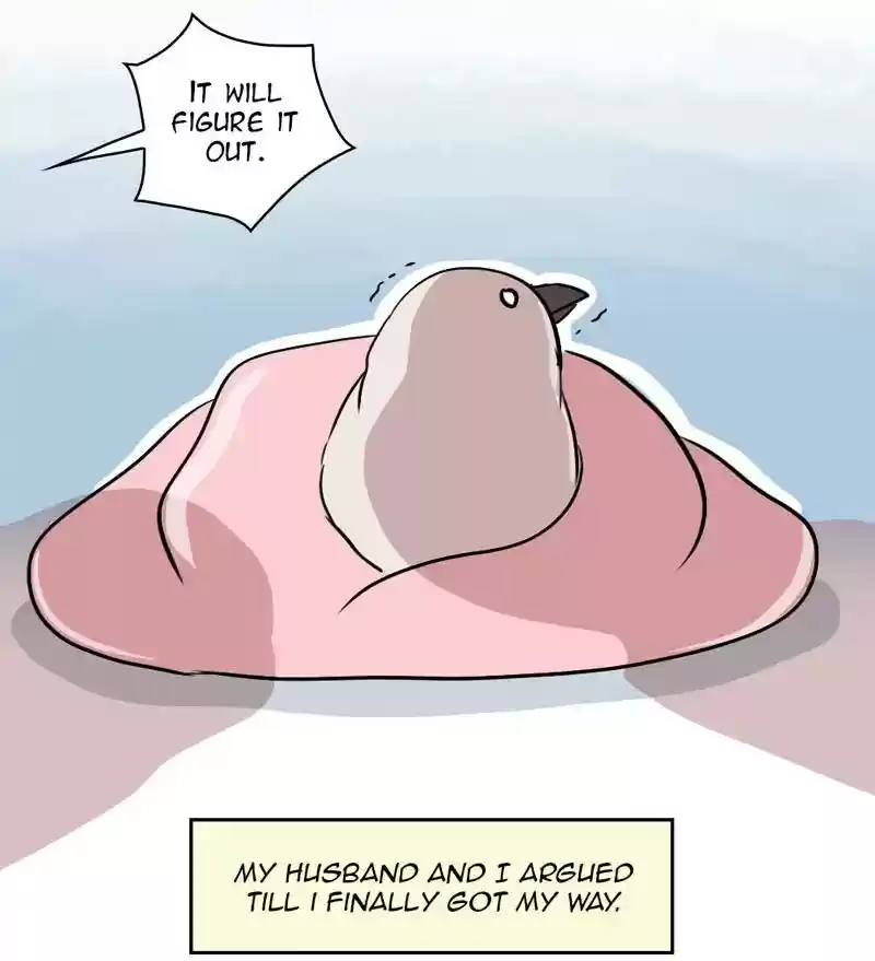 A Budgie's Life Chapter 286: Ep.285: