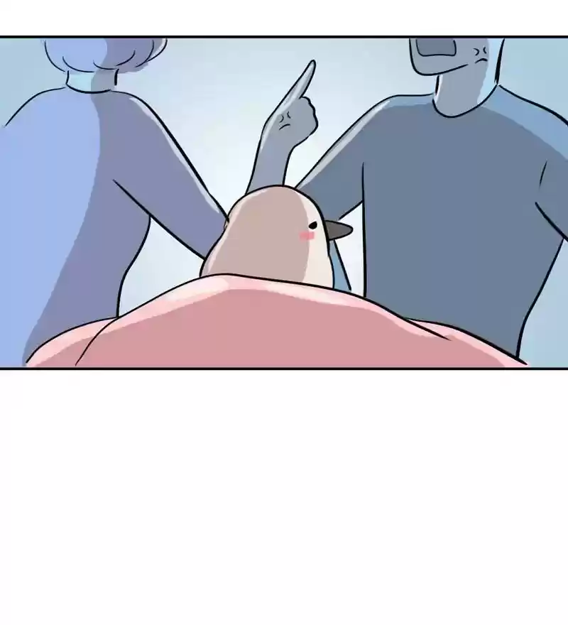 A Budgie's Life Chapter 286: Ep.285: