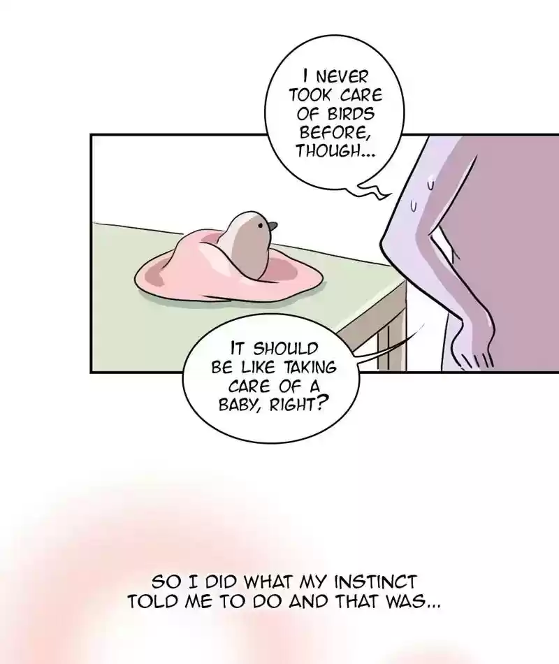 A Budgie's Life Chapter 286: Ep.285: