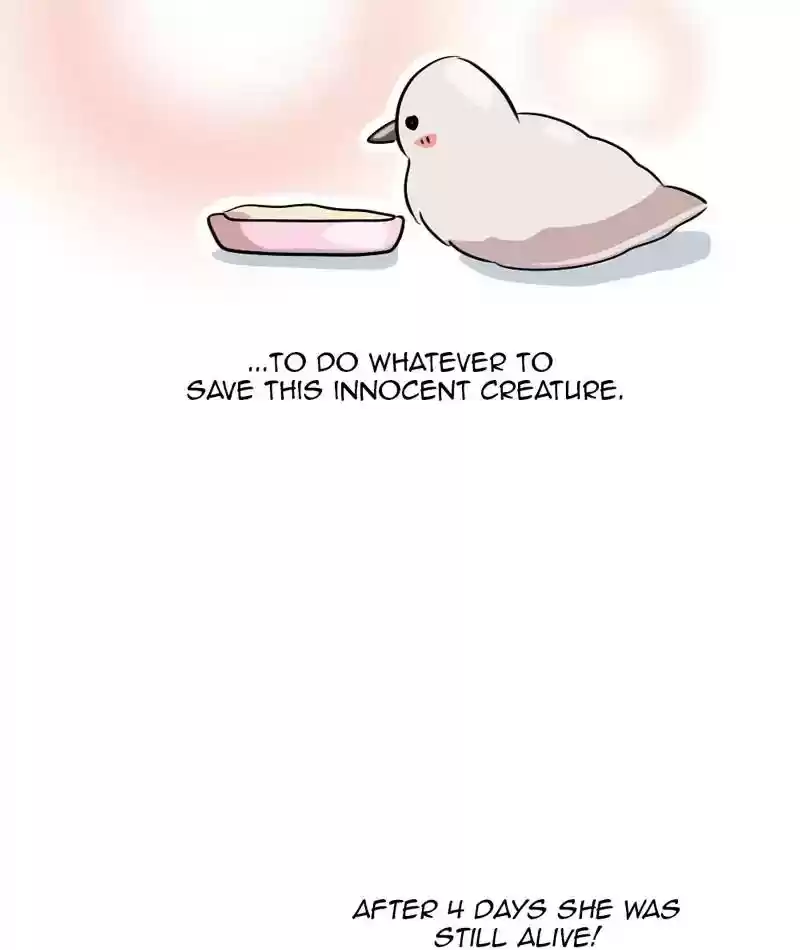 A Budgie's Life Chapter 286: Ep.285: