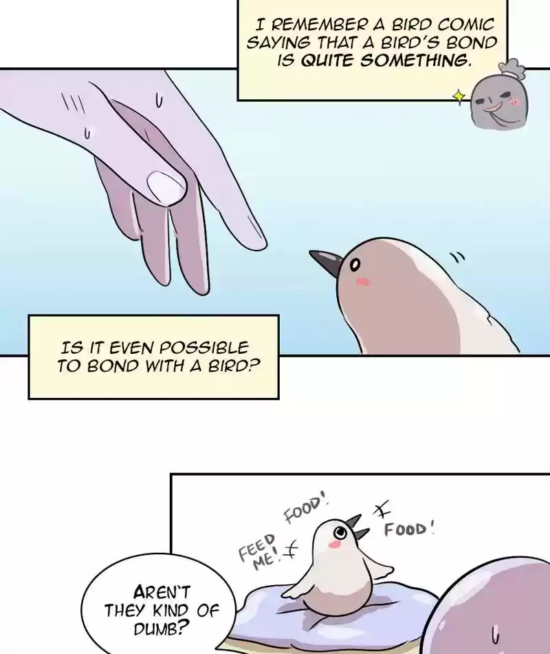 A Budgie's Life Chapter 286: Ep.285: