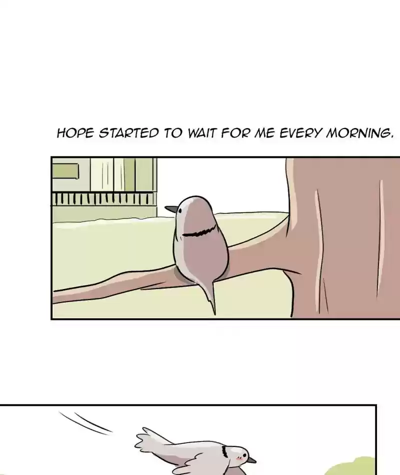 A Budgie's Life Chapter 286: Ep.285: