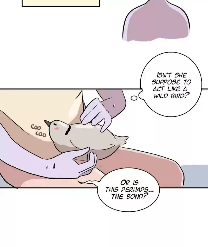 A Budgie's Life Chapter 286: Ep.285: