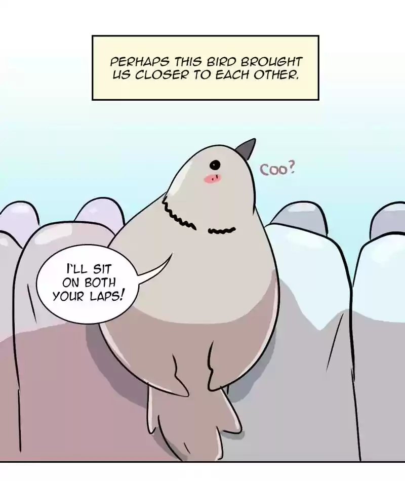 A Budgie's Life Chapter 286: Ep.285: