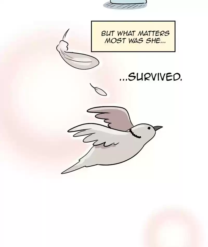 A Budgie's Life Chapter 286: Ep.285: