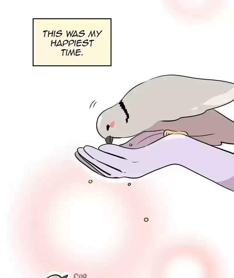 A Budgie's Life Chapter 286: Ep.285: