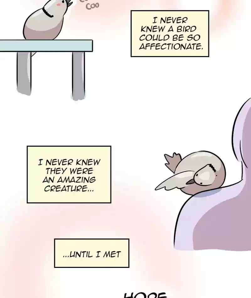 A Budgie's Life Chapter 286: Ep.285: