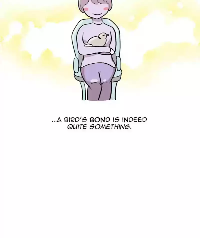 A Budgie's Life Chapter 286: Ep.285: