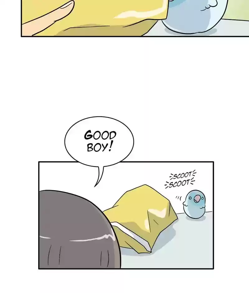 A Budgie's Life Chapter 287: Ep.286: