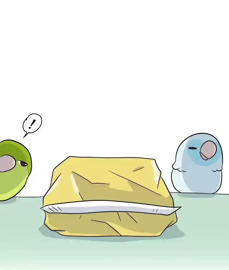 A Budgie's Life Chapter 287: Ep.286: