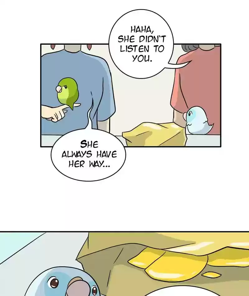 A Budgie's Life Chapter 287: Ep.286: