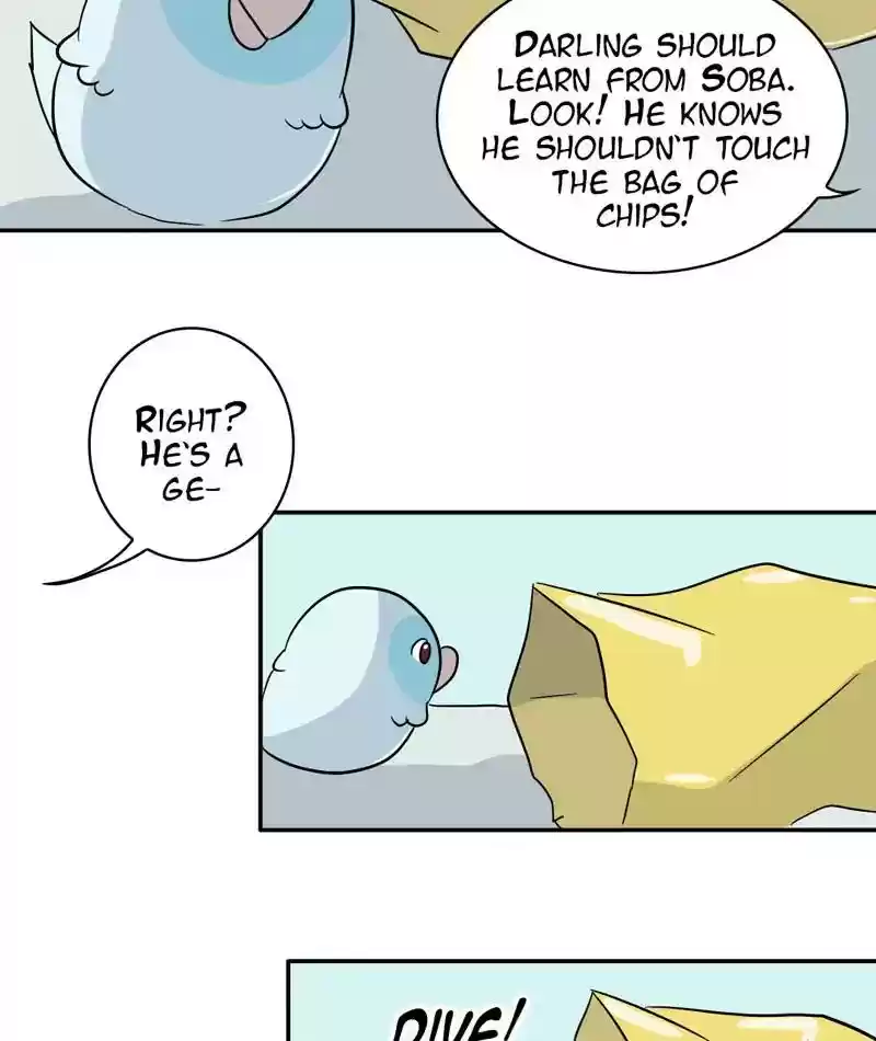 A Budgie's Life Chapter 287: Ep.286: