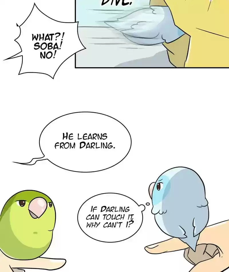 A Budgie's Life Chapter 287: Ep.286: