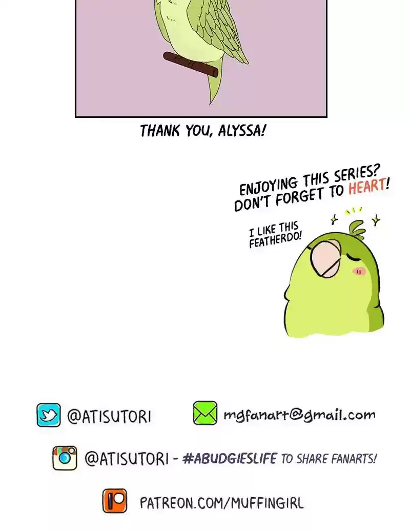 A Budgie's Life Chapter 287: Ep.286: