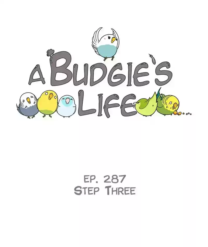 A Budgie's Life Chapter 288: Ep.287: