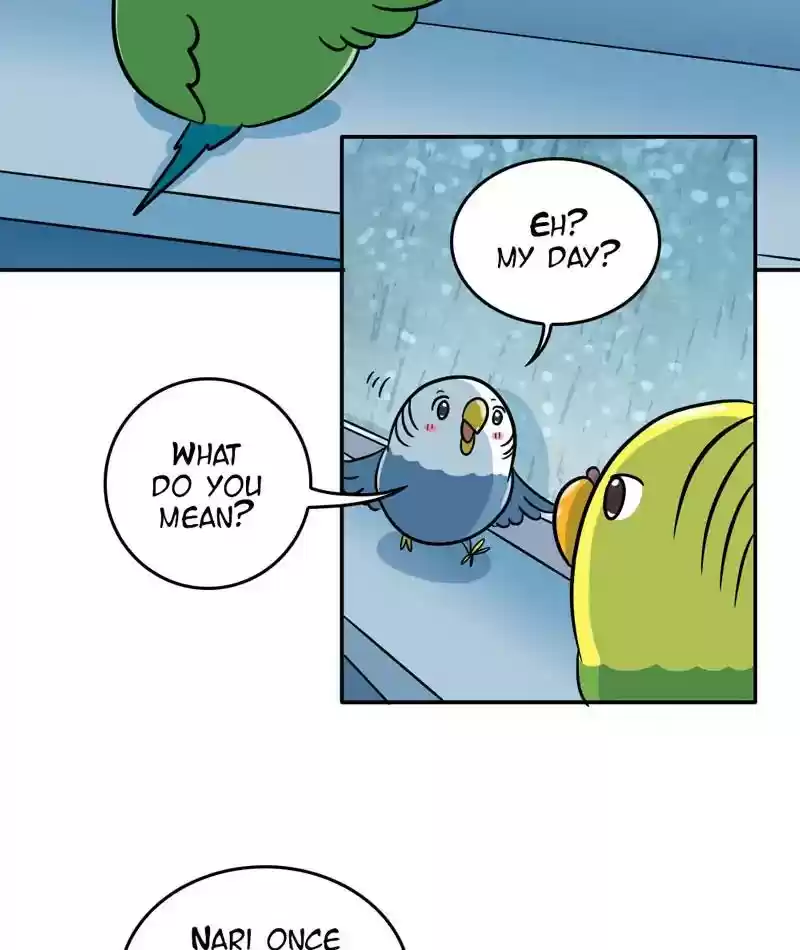 A Budgie's Life Chapter 288: Ep.287: