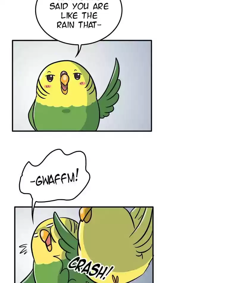 A Budgie's Life Chapter 288: Ep.287: