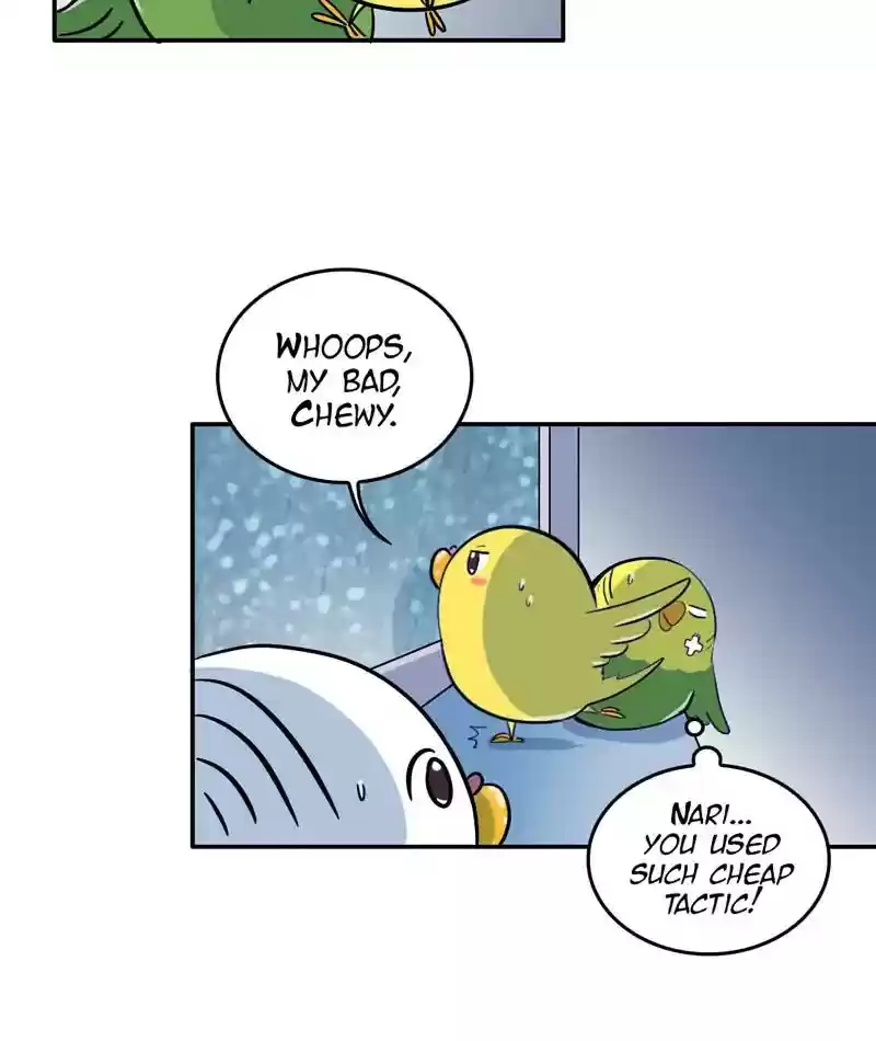 A Budgie's Life Chapter 288: Ep.287: