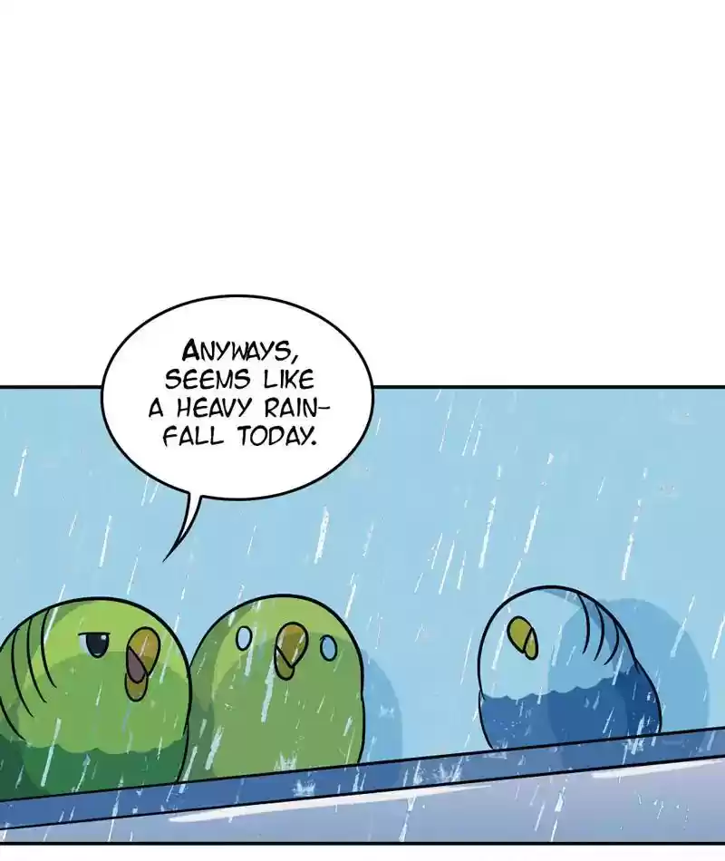 A Budgie's Life Chapter 288: Ep.287: